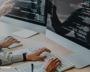 Rationaliser votre Parc Web :  Les étapes clés pour optimiser l'existant