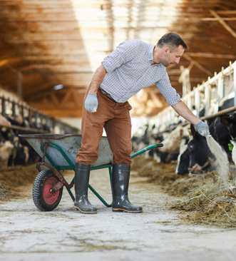 cooperative-agricole-conseil-stratégique-audit-technique